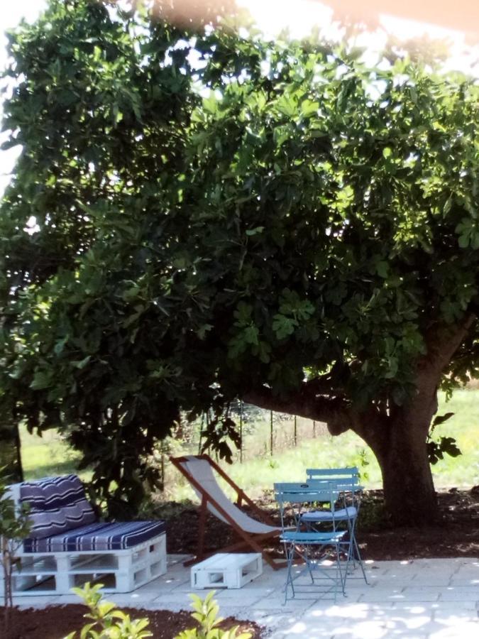 I Fichi Bianchi Bed and Breakfast Cutrofiano Εξωτερικό φωτογραφία